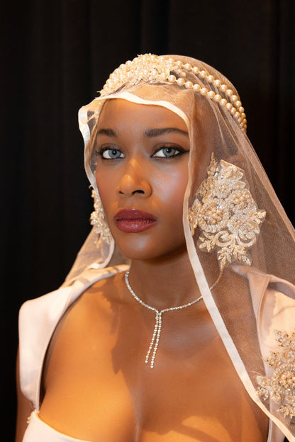 Beaded, embroidered gown is boldly cut; sheer laced corset back is very open with a collar. Below the waist is fitted, flowy with a thigh-high slit.